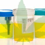 Otras utilidades de la orina | Te vas a quedar de piedra