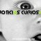 Las mejores noticias curiosas del mes de mayo