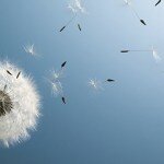 Alergias: conoce los tipos más comunes