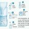 Repelentes para mosquitos: métodos caseros y efectivos