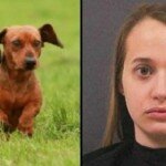 Detenida por grabar vídeo íntimo con su perro
